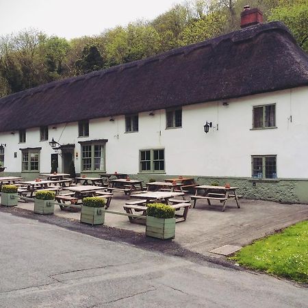 Hambro Arms 호텔 Milton Abbas 외부 사진
