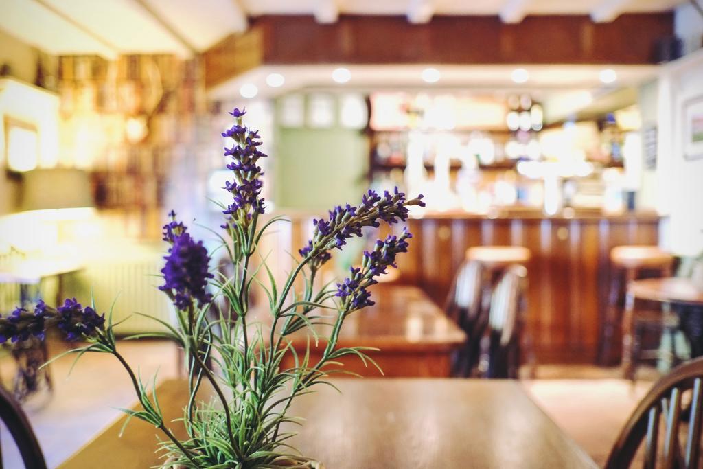 Hambro Arms 호텔 Milton Abbas 외부 사진