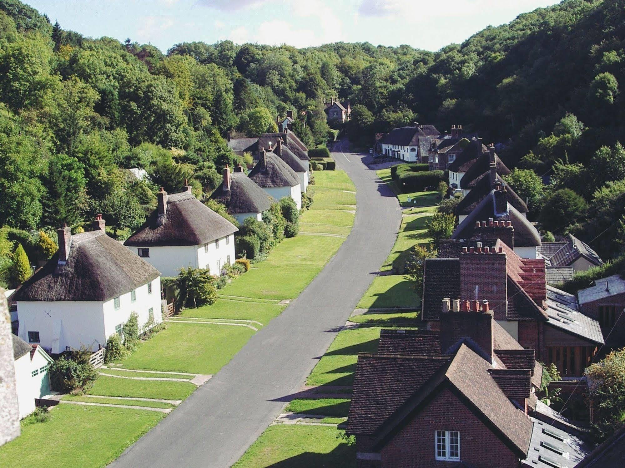 Hambro Arms 호텔 Milton Abbas 외부 사진